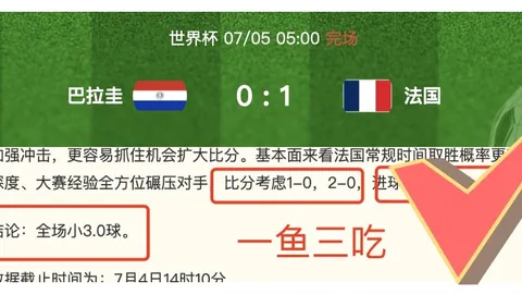 500足球，体育官网，比分 113046